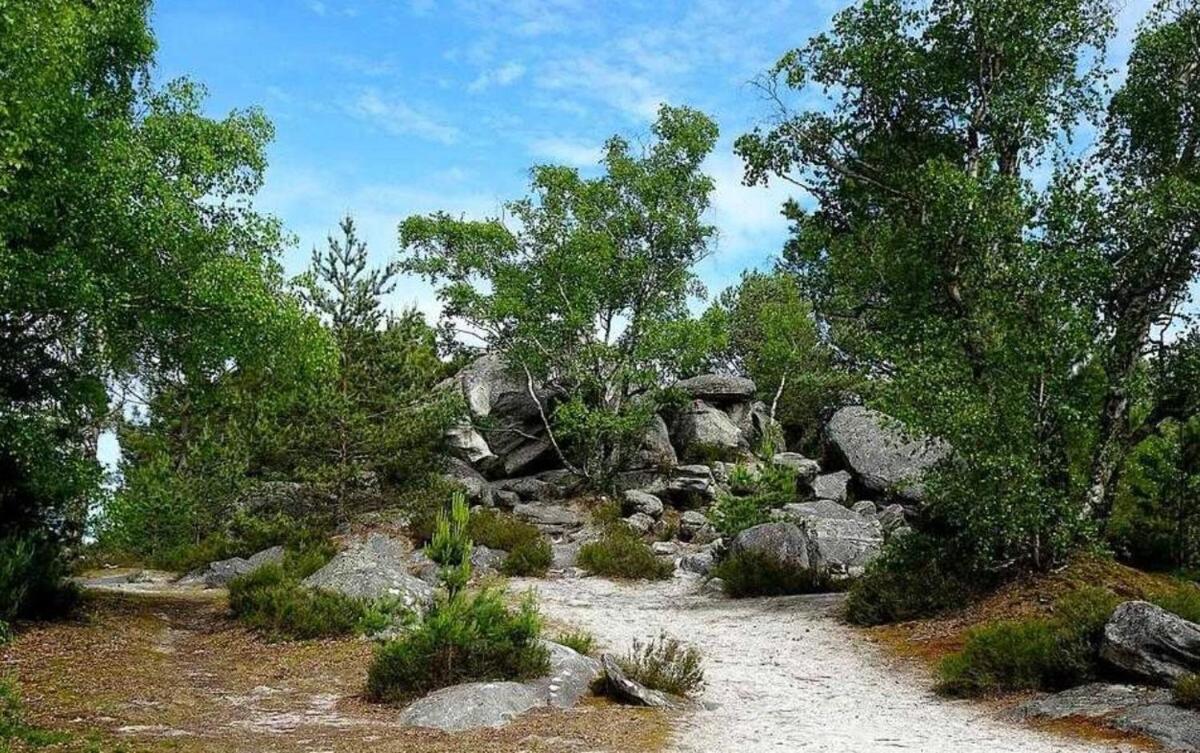 Cocon Napoleon Calme Apartamento Fontainebleau Exterior foto
